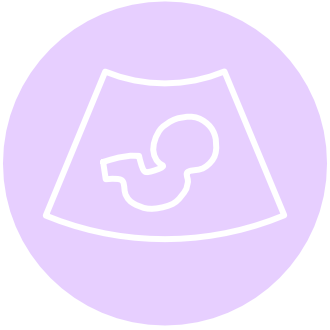 logo échographie - Renaud Le Bec - Sage-femme - Echographies de grossesse, gynécologiques et monitorage d'ovulation, dépistage de la trisomie 21. Echographie à Orléans.